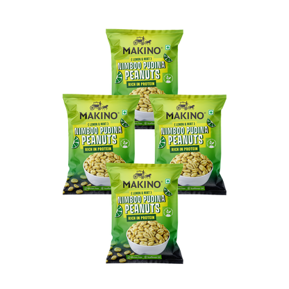 Makino Roasted Peanuts Nimboo Pudina
