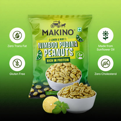 Makino Assorted Roasted Peanuts | Each 43gm | Pack of 5 | Tandoori, Nimboo Pudina, Hing Jeera, Black Pepper, Garlic, Salted | Total 215g | Flavoured Peanuts | Super Crunchy