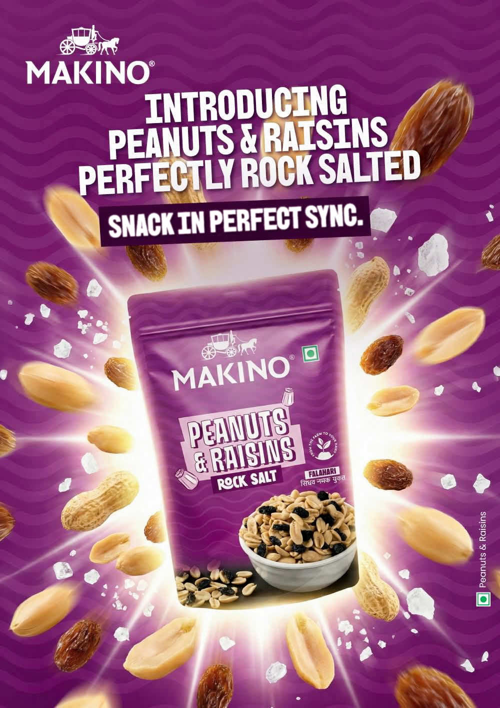 Makino Salted Peanuts & Raisins 120g Pack Of 5